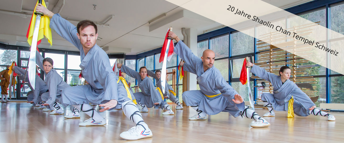 Kung Fu Klasse in Luzern beim Training