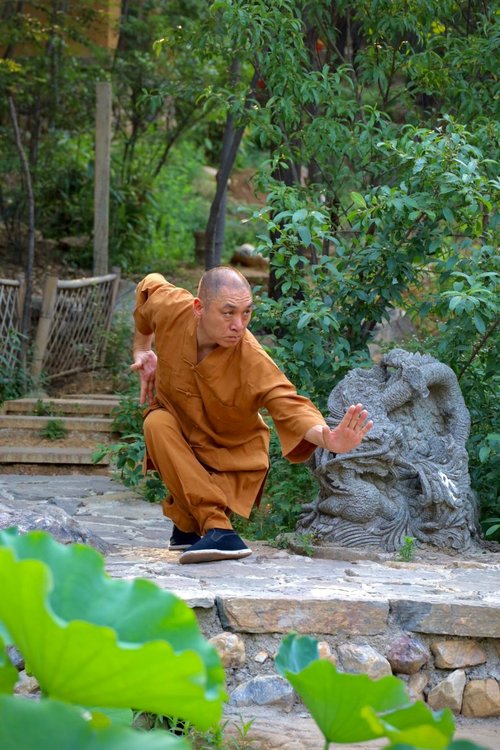 Wochenseminar: Traditionelle Grundschule – Die Essenz des Shaolin Kung Fu