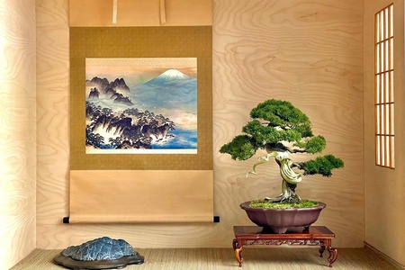 bonsai_450x300(1)